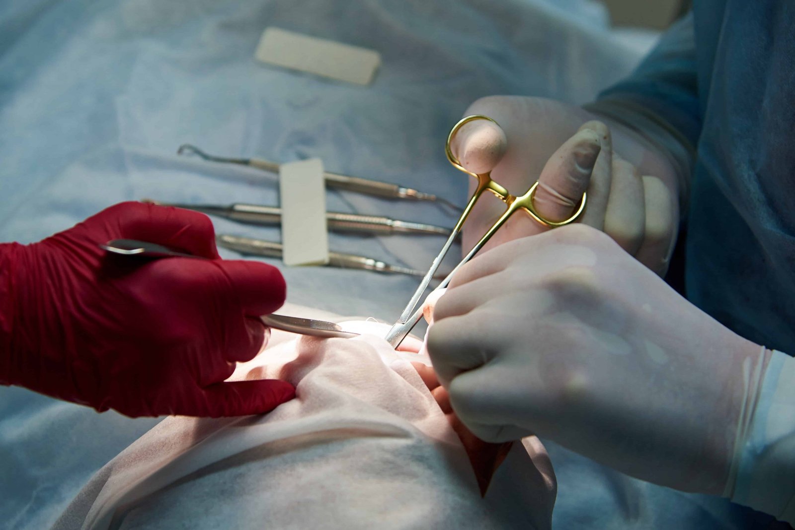 surgery-in-a-dental-clinic-2021-09-02-02-46-55-utc (1) (1)